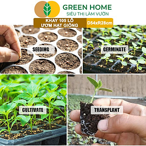 Khay Ươm Hạt Giống Greenhome, 105 Lỗ, Thoáng Rễ, Nảy Mầm Cao, Tiết Kiệm Diện Tích Ươm, Độ Bền Cao