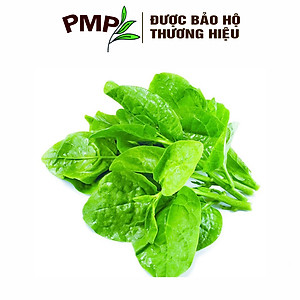 Hạt Giống Rau Mồng Tơi PMP 10g