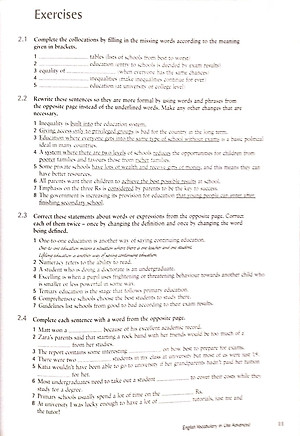 English Vocabulary in Use: Vocabulary Reference and Practice (CD-ROM)