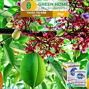 Thuốc Trị Nấm Cây Trồng Greenhome, Coc85 Wp, Gói 20gr, Trừ Đốm Lá Cho Hoa Hồng, Nấm Trên Kiểng Lá, Cây Cảnh, Cây Ăn Quả