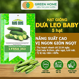 Hạt Giống Dưa Leo Baby Greenhome, Gói 5 Hạt, Trái Suôn Dạng Chùm Giòn Ngọt, Dễ Trồng Quanh Năm, Năng Suất Cao T01