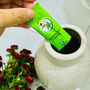 Gói Cắm Hoa Tươi Lâu Gấp 2 Lần Và 14 Ngày Không Thay Nước Loại 5gr Longlife (Bộ 50 gói)