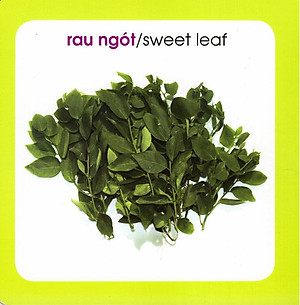 Sách Từ Điển Hình Ảnh Cho Bé: Rau Củ (Tái Bản 2019)