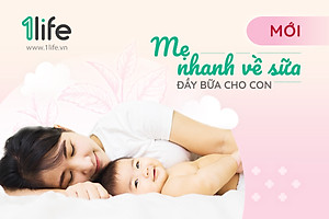 Túi chườm kích sữa 1Life