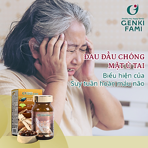 Viên Uống Phòng Ngừa Đột Quỵ, Bổ Não Nattokinase 3000FU Natto Ichou Genki Fami Nhật Bản