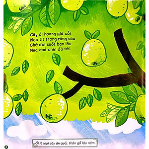 Sách Vườn Ổi Chích Chòe (Dạy Con Gieo Mầm, Cùng Con Hái Quả)