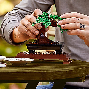 Đồ Chơi Lắp Ráp LEGO CREATOR Cây Bonsai 10281