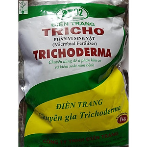 Chế phẩm men vi sinh nấm Trichoderma loại 1kg mã PM027. ĐIỀN TRANG - TRICHO 1000G