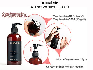 Bộ dầu gội dầu xả tinh dầu vỏ bưởi & bồ kết Herbario 300ml giảm rụng tóc kích thích mọc tóc, giảm gãy rụng cho tóc suôn mượt đen bóng thuần chay