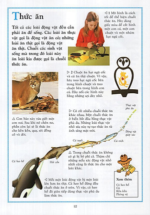 Sách Bách Khoa Động Vật Cho Trẻ Em