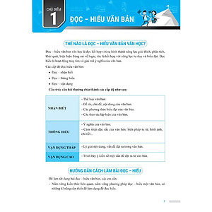 Sách Chinh Phục Đề Thi Vào 10 Môn Văn (Tái Bản)