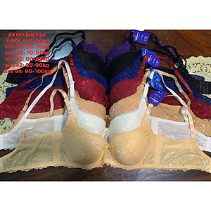 Áo Lót Ren Mút Mỏng Big size (Size 36 đến Size 44)