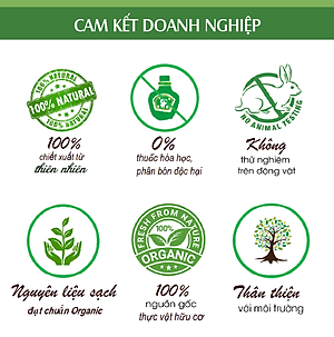 Tinh dầu Táo nguyên chất từ thiên nhiên, xông phòng, khử mùi, đuổi muỗi, thơm phòng - KingOil