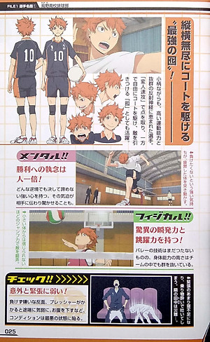 TVアニメ公式ガイドブック ハイキュー!! セイシュンメイカン!! - TV Anime Official Guidebook Haikyu !!