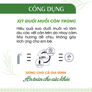 Xịt Phòng Tinh Dầu Hữu Cơ Organic 24Care - Kháng khuẩn - Khử mùi hôi - Đuổi muỗi, kiến ba khoan - côn trùng - Hương thơm thư giãn.