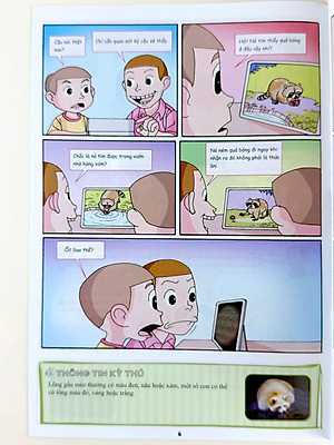 Sách - Combo Tạp chí nhà khoa học trẻ tập 16 - The young scientists (3 Cuốn) - Level 1,2,3