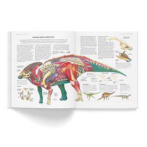 Sách Bách Khoa Khủng Long Toàn Tập