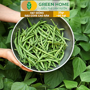 Hạt Giống Đậu Cove Greenhome, Gói 20gr~90 hạt, Dễ Trồng Quanh Năm, Nảy Mầm Cao, Thu Hoạch Nhanh, Năng Suất Cao T07