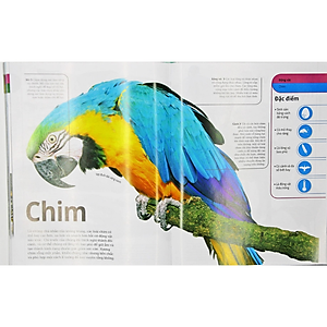 Sách Động Vật - Bách Khoa Thư Hình Ảnh Về Các Loài Vật Trên Trái Đất