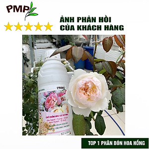 Phân Bón Hoa Hồng SOYMIC PMP Siêu Phân Bón Ủ Vi Sinh Từ Đậu Nành, Trứng, Chuối, Humic, Vi Lượng 1000ml