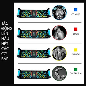 Dụng Cụ Hít Đất Hỗ Trợ Chống Đẩy Đa Năng 16 trong 1 - Bảng Chống Đẩy SP010 Chính Hãng miDoctor