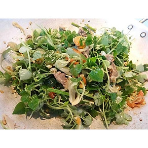 PN - Hạt Giống Rau Càng Cua Dễ Trồng - Trồng Rau Xanh Rau Sạch Organic Bằng Đất Sạch, Mùn Dừa Và Phân Bón Hữu Cơ