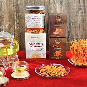 Đông trùng hạ thảo sấy thăng hoa hộp (30gr) lọ nhựa tiện lợi