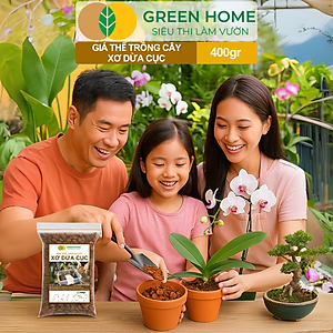 Xơ Dừa Cục Greenhome, Bao 400gr, Giá Thể Đã Qua Xử Lý, Size 1-2cm, Viên Đều Đẹp, Sạch Khuẩn, Trồng Kiểng Lá, Lan
