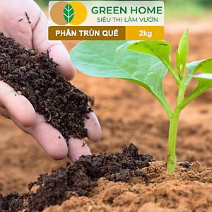 Phân Trùn Quế Greenhome, Bao 2kg, Dinh Dưỡng Hữu Cơ, Không Mùi, Tốt Cho Lan, Bonsai, Rau, Cây Ăn Trái