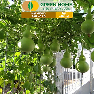 Hạt Giống Bầu Hồ Lô Greenhome, Gói 1g, Dễ Trồng Quanh Năm, Nảy Mầm Cao, Thu Hoạch Nhanh, Năng Suất Cao T11