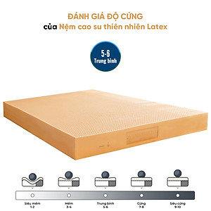 Nệm Cao Su Thiên Nhiên Latex Thuần Việt - Nâng Đỡ 7 Vùng, Thoáng Khí - Bảo Hành 15 Năm