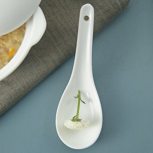 Combo 6 thìa lỗ sứ cao cấp Long Phương