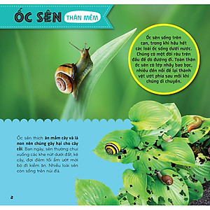 Sách Bí Ẩn Thế Giới Loài Vật