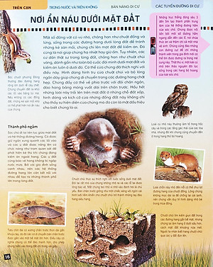 Sách Di Chuyển Và Di Cư