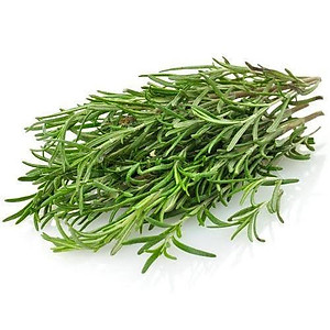 Hạt giống cây Hương Thảo Rosemary - Mê điệt hương VTS191