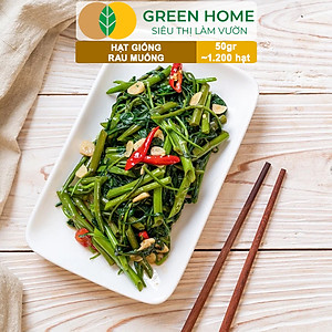 Hạt giống rau Muống cao sản, gói 50g~1200 hạt, dễ trồng, thu hoạch nhanh R09