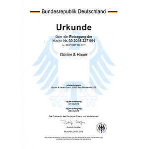 Günter & Hauer Máy Hút Bụi Cầm Tay Máy Hút Bụi Không Dây Sạc Điện 4 Trong 1 Đầu Chổi Một Máy Đa Năng V16 - Hàng chính hãng