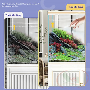 Tẩy cặn canxi Biozym Tank Scale Cleaner vệ sinh vết ố bể kính thủy sinh cá tép cảnh