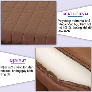 Giường gấp kiểu dáng hàn quốc Nikita NKT-HQ90