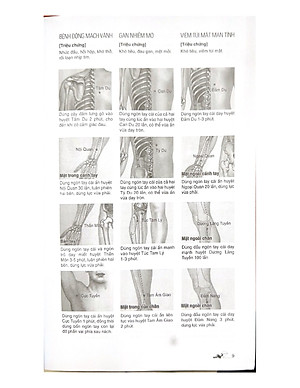 Massage Kinh Lạc Huyệt Vị Toàn Thư (Tái Bản) - Vanlangbooks