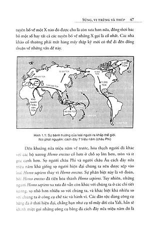 Súng, Vi Trùng Và Thép (Tái Bản)