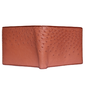  Ví nam da đà điểu da bụng nhiều màu HJ92405-06-07-14-19-32