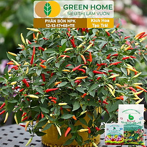 Phân bón NPK 12-12-17-6S+TE Greenhome, Better, Bao 1kg, Tăng Đậu Trái Cây Ăn Củ, Quả