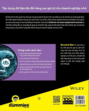 Sách Dữ Liệu Lớn Cho Doanh Nghiệp Nhỏ For Dummies