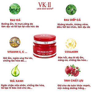 Kem Ngừa Mụn Thâm Sẹo VK II ( 10g/20g )