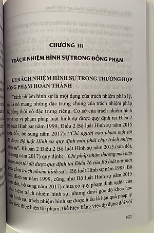 Đồng phạm trong luật hình sự Việt Nam