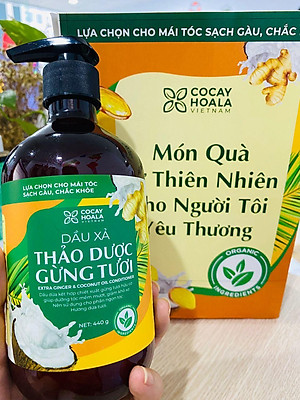 Dầu gội thảo dược gừng dừa Cocayhoala hỗ trợ trị gàu, hết ngứa, dung tích 440g-95% thành phần từ gừng tươi hữu cơ còn nguyên xơ gừng, hỗ trợ trị rụng tóc, kích thích mọc tóc vượt trội, an toàn cho mẹ bầu mẹ sau sinh