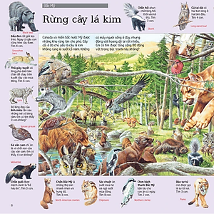 Sách Thử tài tìm kiếm – Động vật