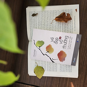 Sách Vẻ Đẹp Của Vô Thường – 77 Câu Chuyện Thiền Để Sống Tỉnh Thức