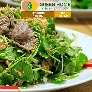 Hạt Giống Rau Má Greenhome, Gói 1g, Dễ Trồng Quanh Năm, Nảy Mầm Cao, Thu Hoạch Nhanh, Năng Suất Cao R12